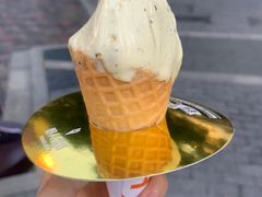 -野人先生现做冰淇淋(北京顺义祥云小镇店)