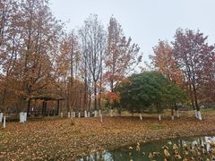-白鹭园