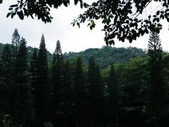 -深圳仙湖植物园