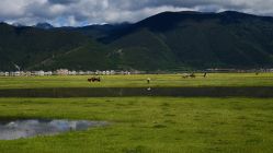 -纳帕海依拉草原