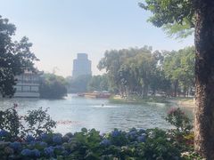 -荔湾湖公园