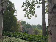 -南宁南湖公园