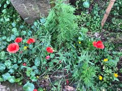 -驿舍·民國老营房院子私房菜(科学会堂店)