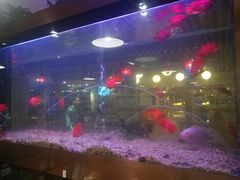 -御池园(顾村公园店)