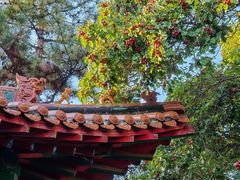 -碑林公园