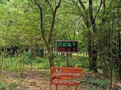 -同里国家湿地公园