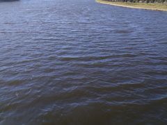 -羊亭河湿地公园