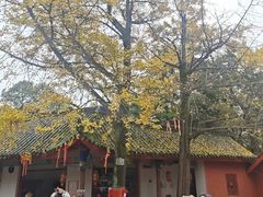 -金堂县云顶石城风景区