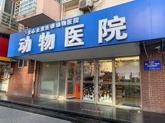 -全心全意连锁动物医院·微创中心·内科急重症·心脏专科(丰管路店)