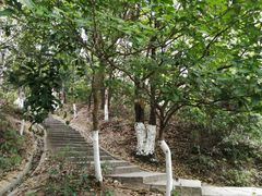 -火炉山森林公园