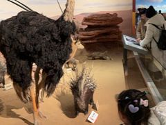 -陕西自然博物馆