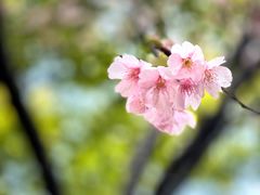 -静安雕塑公园