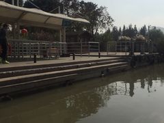 -长兴太湖图影湿地文化园