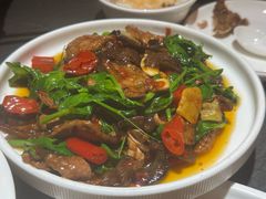 -土桥手掌鸡·26年灌县老味道(都江堰店)