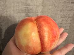 -南汇水蜜桃采摘(大团店)