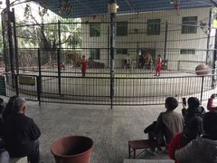 -广东茂名森林公园