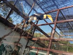 -沈阳森林动物园