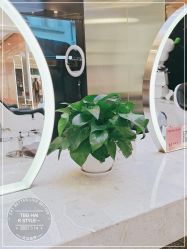 点击看大图 -CE·专业蛋白•羽毛接发·潮色烫染品牌店