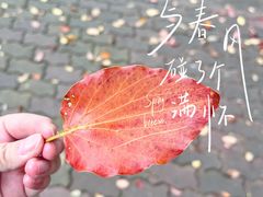 -晓港公园
