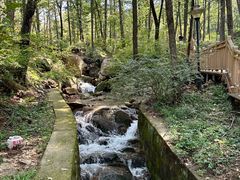 -鲁山国家森林公园