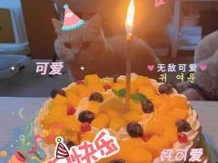 -圆之梦西饼店(岳屏小区店)