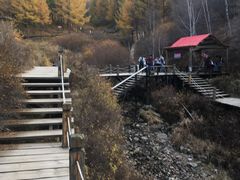 -苏木山森林公园