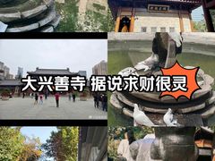 -西安大兴善寺