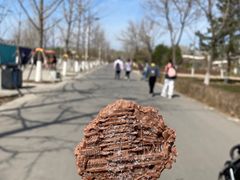 -北京世界公园