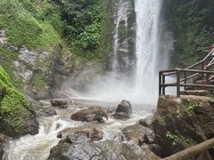 -莫里热带雨林景区