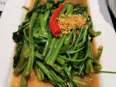 秘制虾酱炒空心菜-帕蓝·暹罗料理(曲阳店)