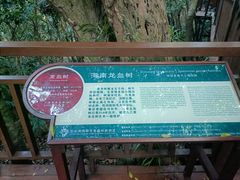 -亚龙湾热带天堂森林公园