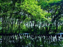 -西溪南古村落景区