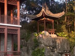 -深圳国际园林花卉博览园