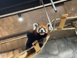 -Zoolung Zoolung动物主题公园(海信广场店)