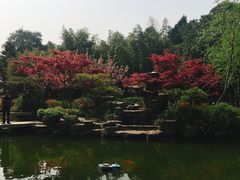 -正宗忘不了老鹅(梅岭店)