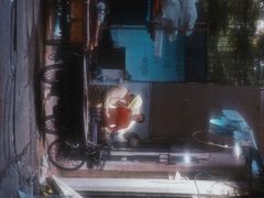 -溪岸路花鸟市场