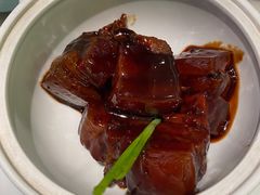 红烧肉-蝶园·装修中(BFC外滩金融中心店)
