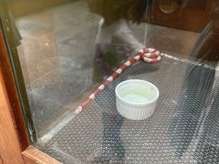 -上海大自然野生昆虫馆