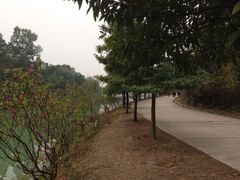 iphone_upload_pic-中山市树木园