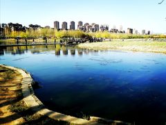 -前关湿地公园