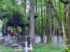 -东湖落雁景区