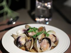 -Oasis Bar & Grill