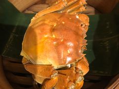 -南京大牌档(崇文门国瑞店)
