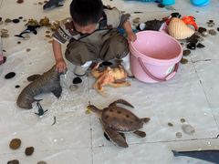 -西湖文化广场