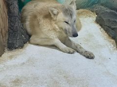 -大连圣亚海洋世界