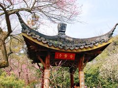 -杭州植物园