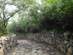 IMG_0208-阳台山自然风景区