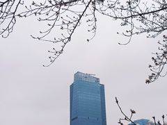 -西北湖绿化广场
