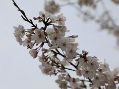 -白塘生态植物园