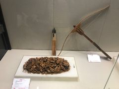 -合肥三国新城遗址公园